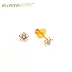 Brinco Adulto Daisy Cristal 5mm Dourado